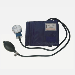 China Adult 0 - 300mmHg Aneroid Sphygmomanometer Medical Diagnostic Tool WL8002 supplier