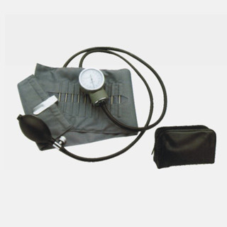 China Medical Diagnostic Tool 0 - 300mmHg Aneroid Sphygmomanometer with Metal Buckle Cuff WL8004 supplier