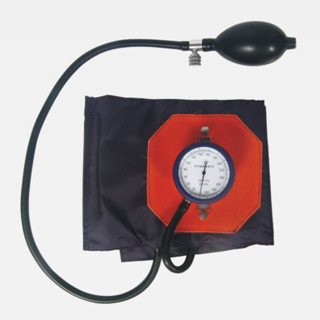 China Adult 0 - 300mmHg Aneroid Sphygmomanometer with Fixed Gauge WL8010 supplier
