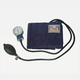 Adult 0 - 300mmHg Aneroid Sphygmomanometer Medical Diagnostic Tool WL8002 supplier